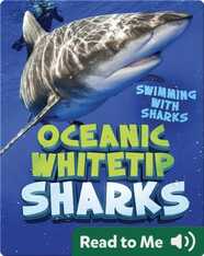 Oceanic Whitetip Sharks