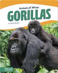 Animals of Africa: Gorillas