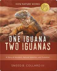 One Iguana, Two Iguana