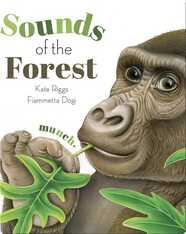 Sounds of the Forest