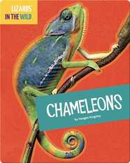 Lizards In The Wild: Chameleons