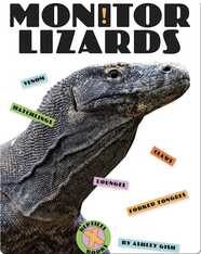 Monitor Lizards