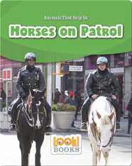 Horses on Patrol