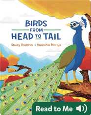 Birds from Head to Tail