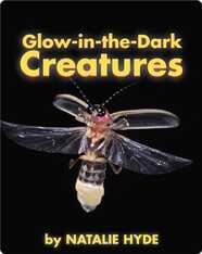 Glow-in-the-Dark Creatures