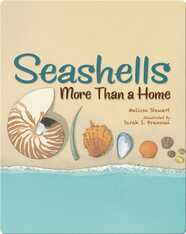 Seashells