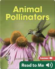 Animal Pollinators