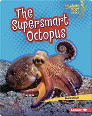 The Supersmart Octopus