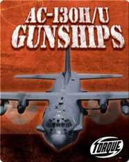 AC-130H/U Gunships