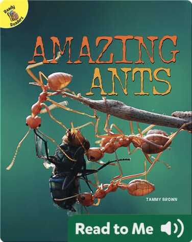 Amazing Ants book