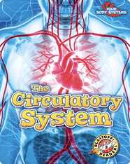 The Circulatory System