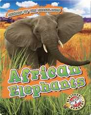 African Elephants
