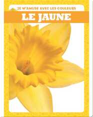 Le jaune (Yellow)