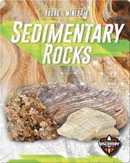 Sedimentary Rocks