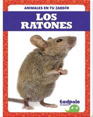 Los Ratones