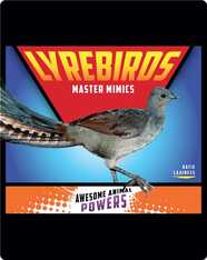 Lyrebirds: Master Mimics