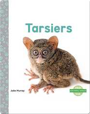 Tarsiers