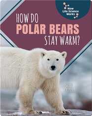 How Do Polar Bears Stay Warm?