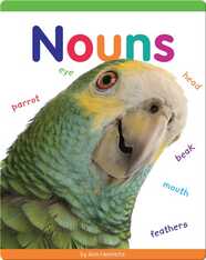 Nouns