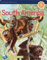 Animals of South America