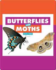 Comparing Animal Differences: Butterflies and Moths