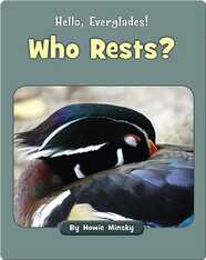 Hello, Everglades!: Who Rests?
