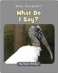 Hello, Everglades!: What Do I Say?