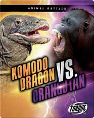 Animal Battles: Komodo Dragon vs. Orangutan
