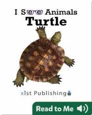 I See Animals: Turtle
