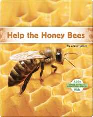 Little Activists: Help the Honey Bees
