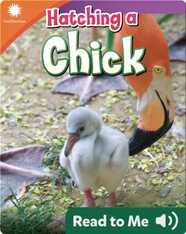Smithsonian Readers: Hatching a Chick
