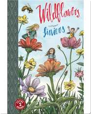 Wildflowers (TOON Level 2)