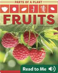 Parts of a Plant: Fruits
