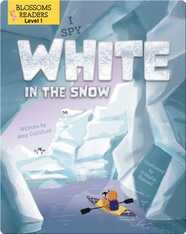 I Spy White in the Snow