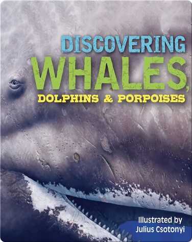 Discovering Whales, Dolphins, and Porpoises book