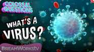 Colossal Questions: What's a Virus?