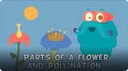 The Dr. Binocs Show: Parts of a Flower and Pollination