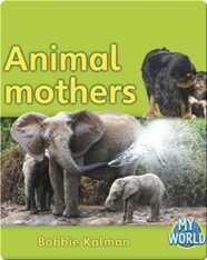 Animal Mothers