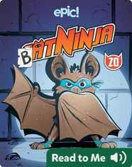 Cat Ninja Book 20: Bat Ninja