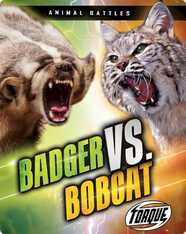 Animal Battles: Badger vs. Bobcat