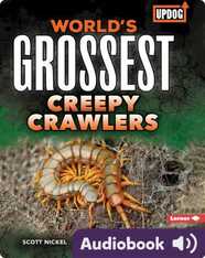 World's Grossest Creepy Crawlers