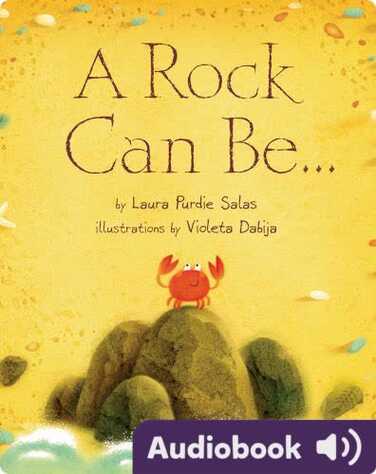 A Rock Can Be... book