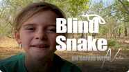 On Safari with Nala: Blind Snake