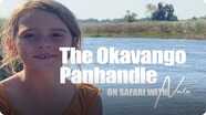 On Safari with Nala: The Okavango Panhandle