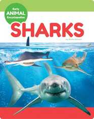Early Animal Encyclopedias: Sharks 