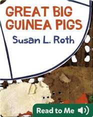 Great Big Guinea Pigs