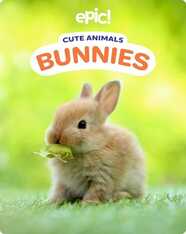 Cute Animals: Bunnies
