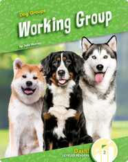 Working Group