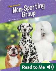 Non-Sporting Group