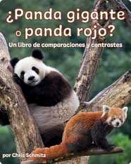 ¿Panda gigante o panda rojo? Un libro de comparaciones y contrastes